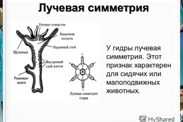 Кракен вход ссылка kraken torion net