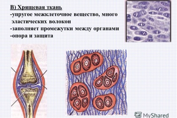 Ссылки зеркала на kraken